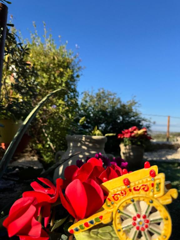 Zahrada ubytování La Terrazza di Cirico'
