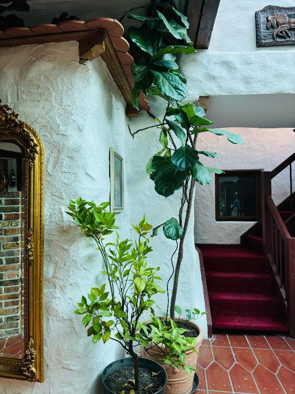 Fotografie z fotogalerie ubytování Hotel Goldener Taler Lörrach v destinaci Lörrach