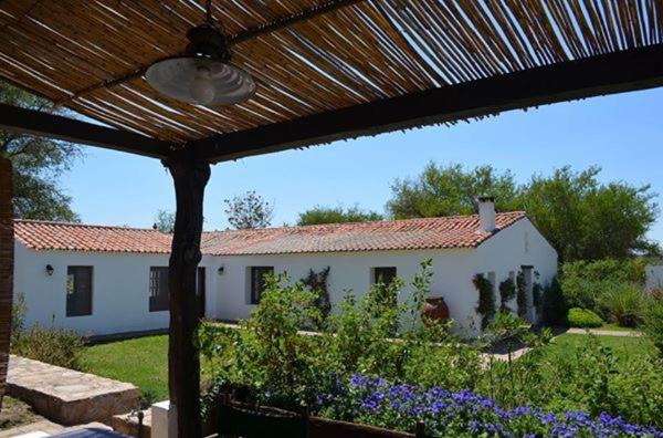 a large white house with a yard with purple flowers at El Palomar casa de campo in Churqui Cañada