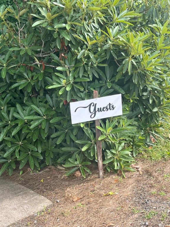 Cone Hill Farmstay - with bush and river walks - 80 sqm self contained - Resim 18