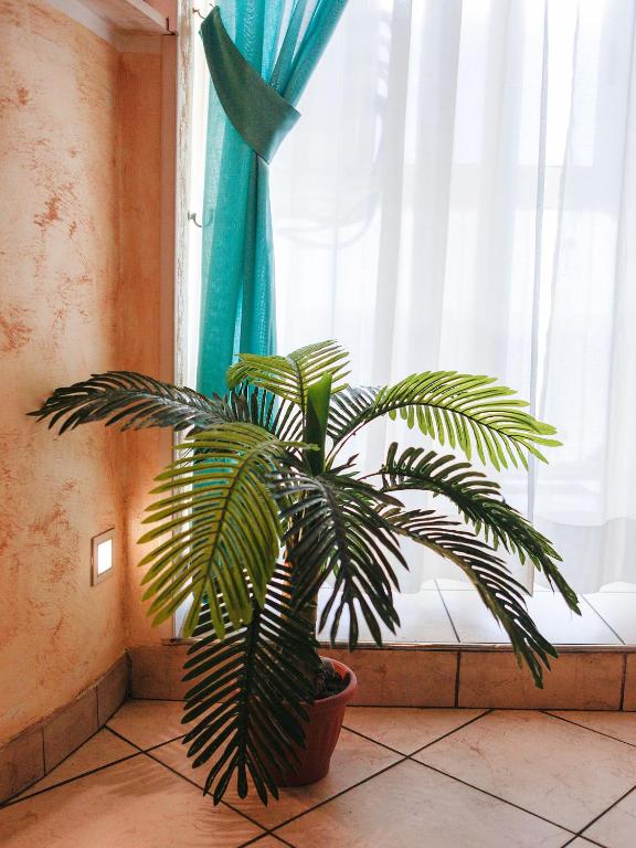 Hotel Arco Romana - Resim 17