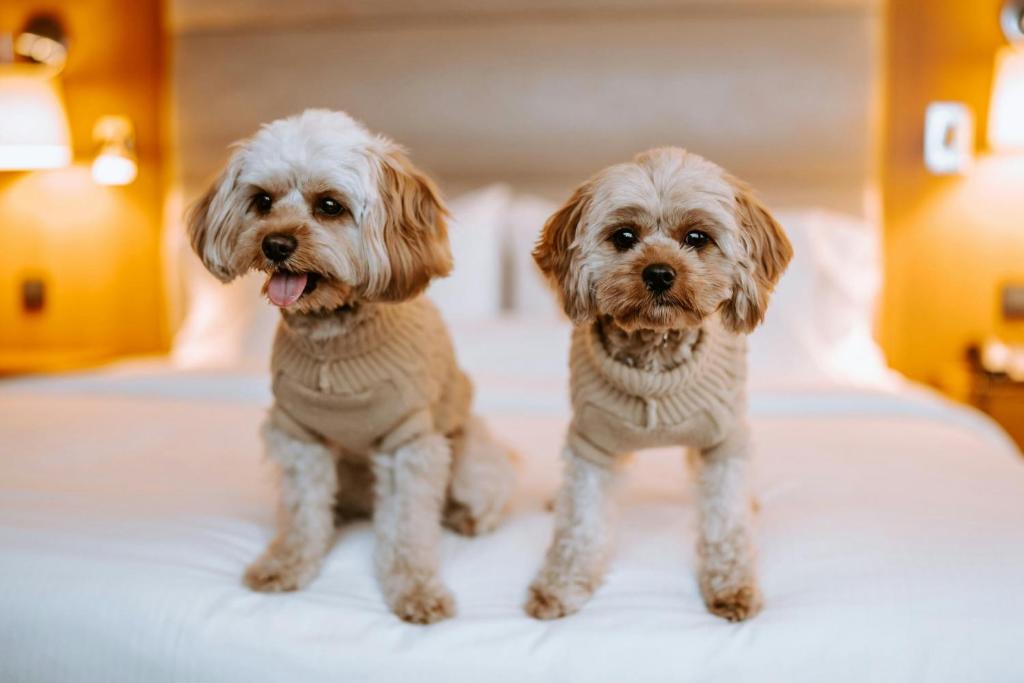 The Westin Warsaw - Resim 35