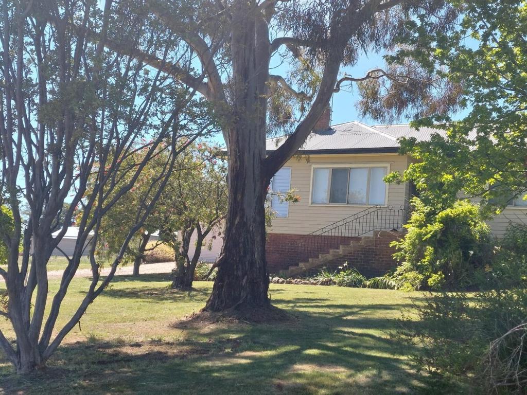 a house with a tree in the yard at Dally's Nashdale in Nashdale