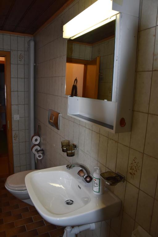 Koupelna v ubytování Cricerhaus