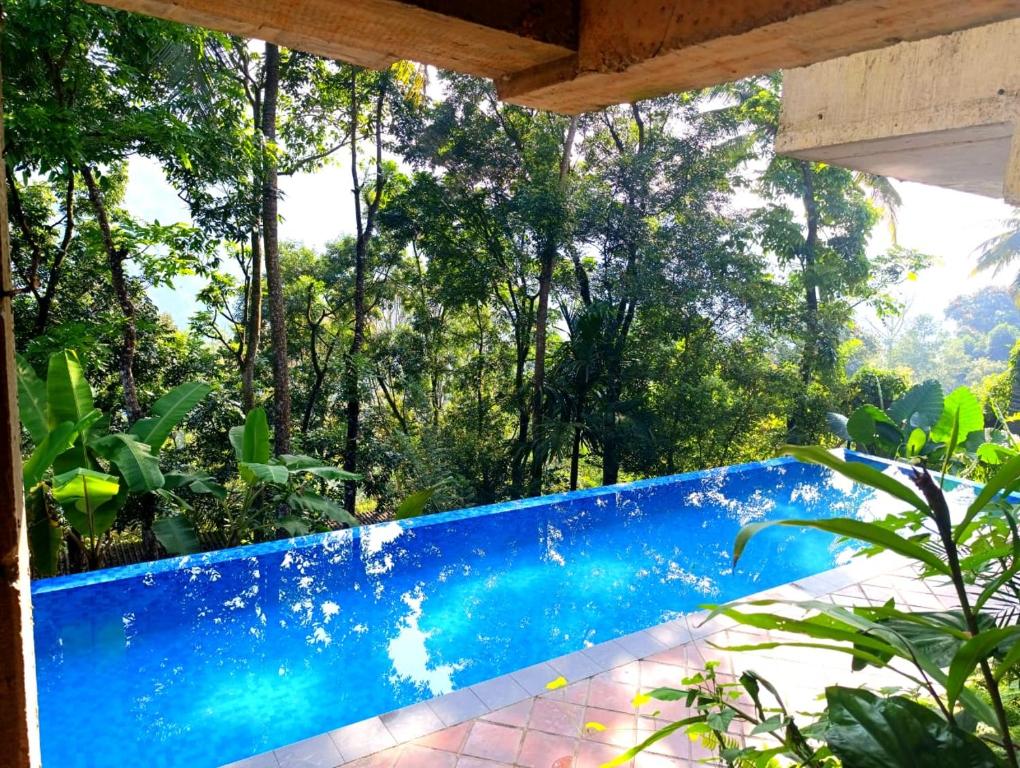 Bazén v ubytování Kandy Bird Villas nebo v jeho okolí