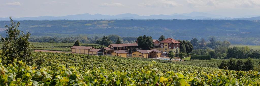 a house in the middle of a field of vines at Tenuta Montebello in Rocca Grimalda