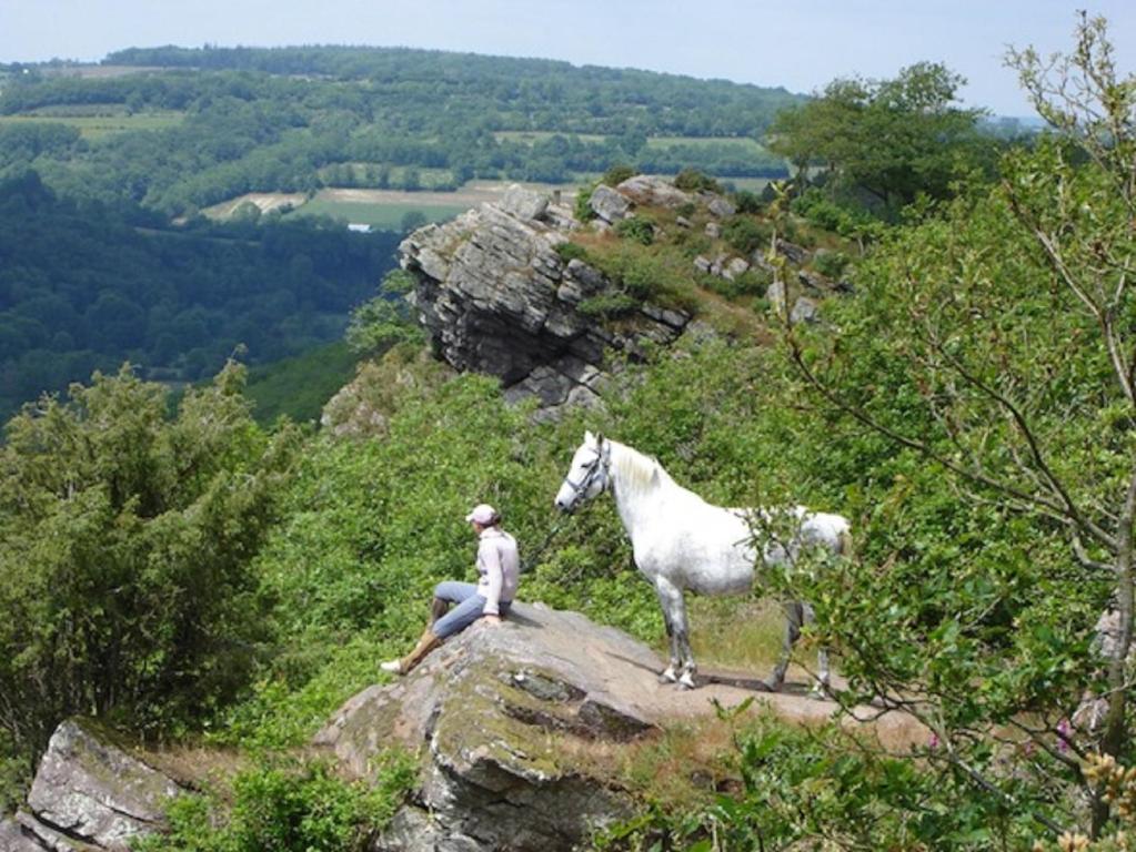 un hombre sentado en una roca con un caballo blanco en Ma Cabane du Canada, en Combray