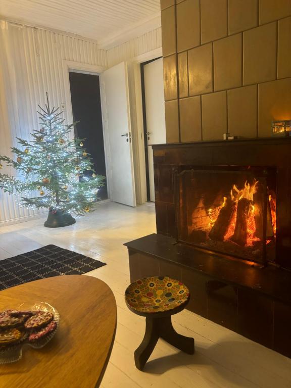 Fotografie z fotogalerie ubytování Aeru residence v destinaci Lindi