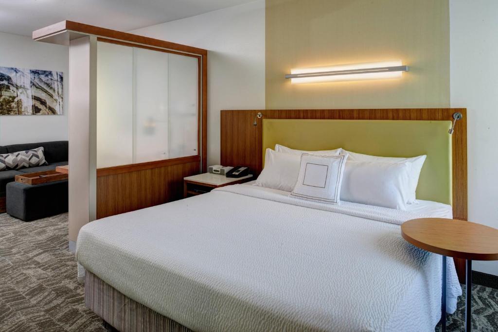 SpringHill Suites by Marriott Saginaw photo