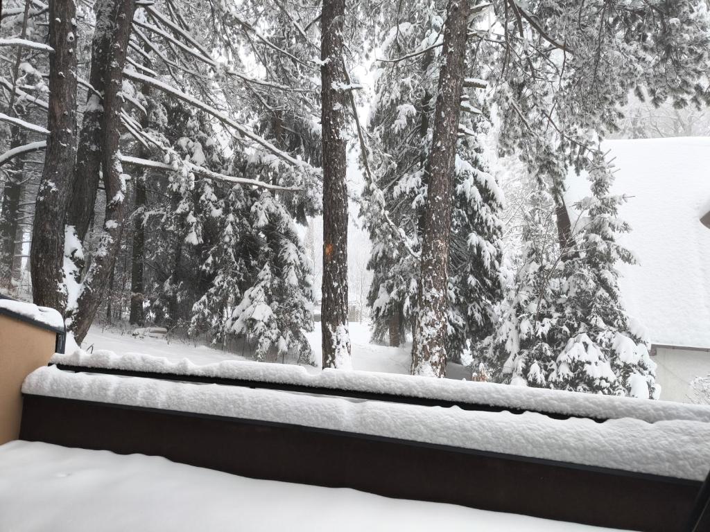 Apartman - Zlatiborske Terase - Resim 7