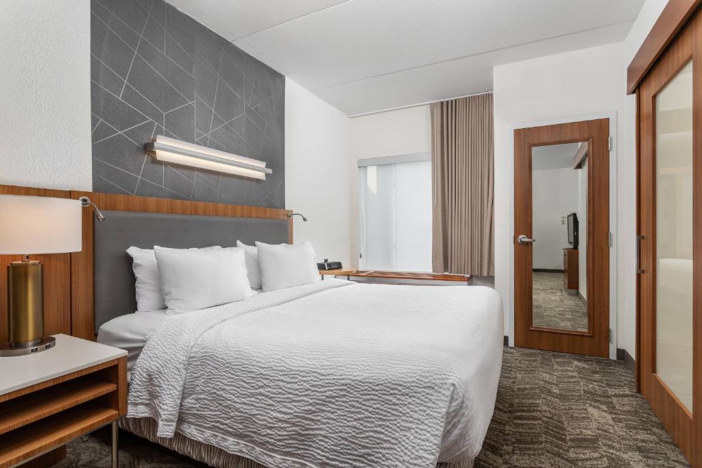 SpringHill Suites by Marriott Downtown Chattanooga/Cameron Harbor photo