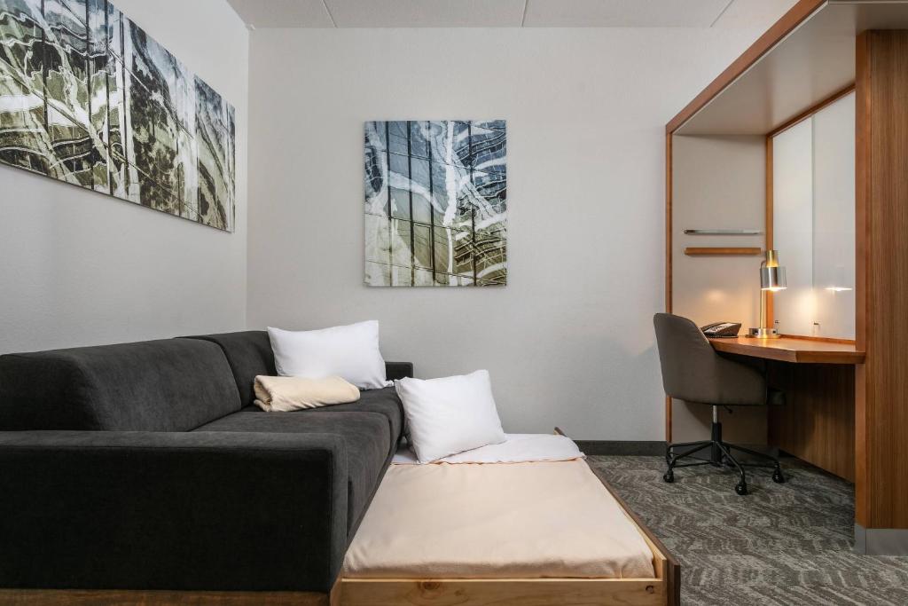 SpringHill Suites by Marriott Downtown Chattanooga/Cameron Harbor - Estudio Con Cama King, Vista Al Río Y Sofá Cama