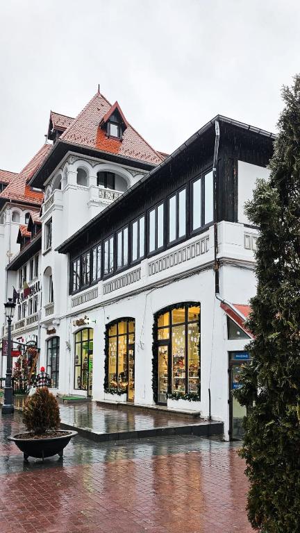 Parc Suites by Hotel Cerbul - Resim 13