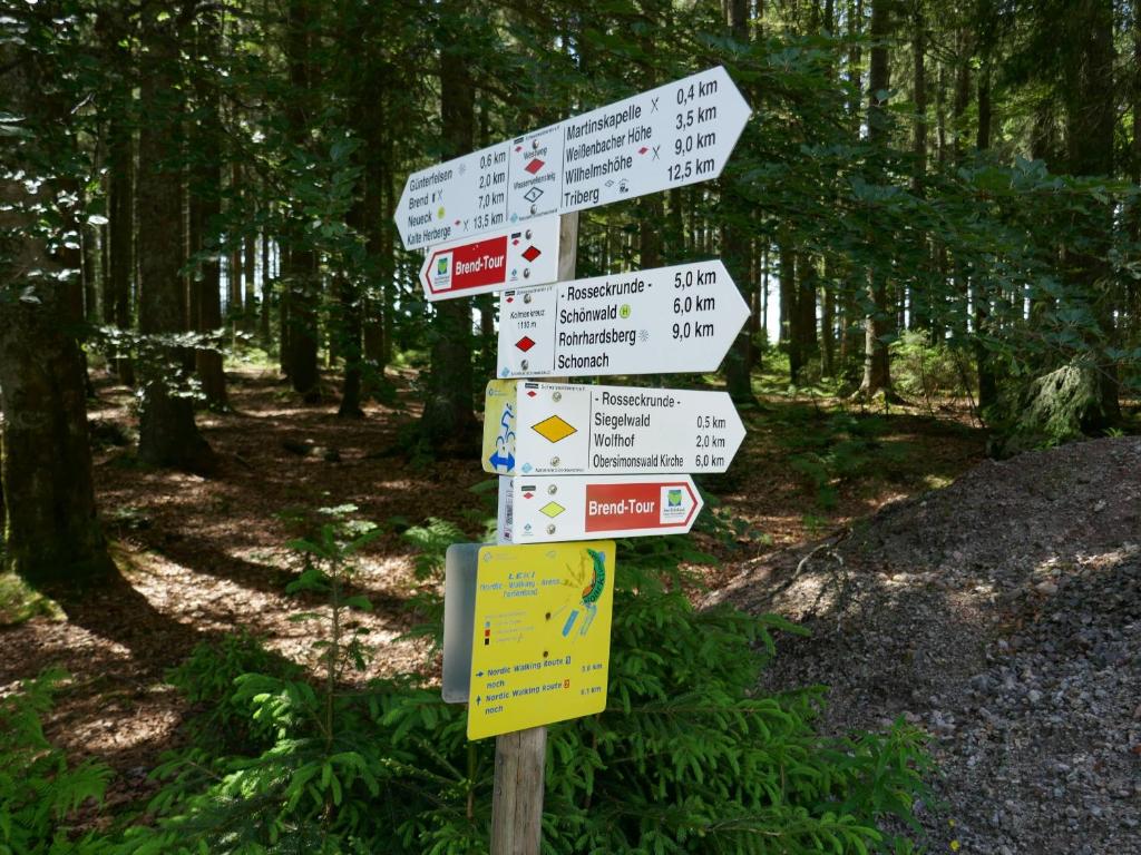 a street sign with many signs in a forest at Fewo Furtwangen in Furtwangen