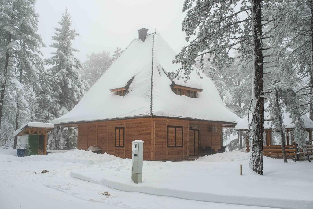 a log cabin with a snow covered roof at Apartman Crni bor 2 Tara in Kaludjerske Bare