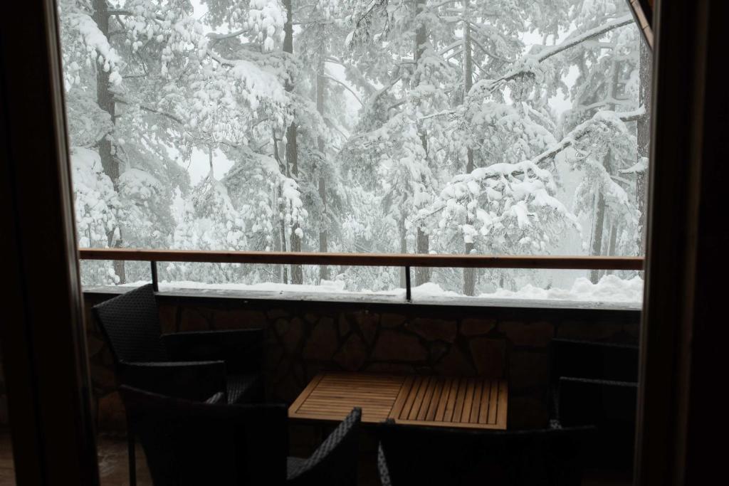 a view of a snow covered forest through a window at Apartman Crni bor 2 Tara in Kaludjerske Bare