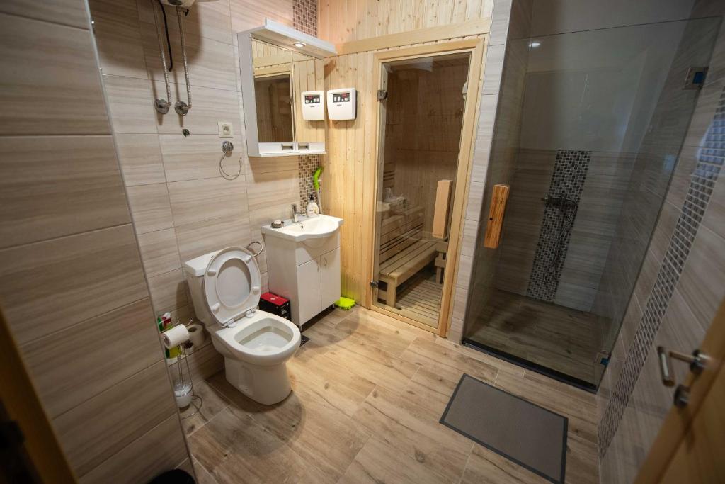 a bathroom with a toilet and a walk in shower at Apartman Crni bor 2 Tara in Kaludjerske Bare
