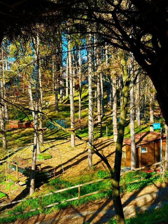 Příroda nedaleko apartmánu
