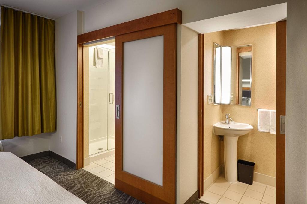 Koupelna v ubytování SpringHill Suites by Marriott Albany Latham-Colonie
