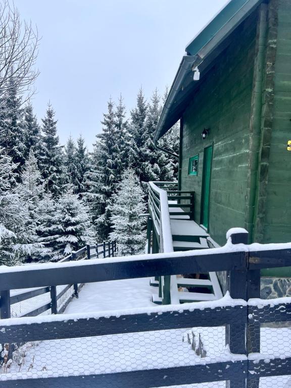 Green Cabin v zimě
