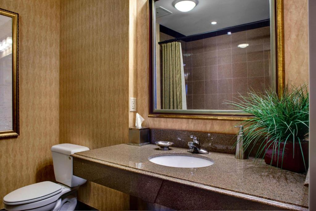 SpringHill Suites Memphis Downtown photo