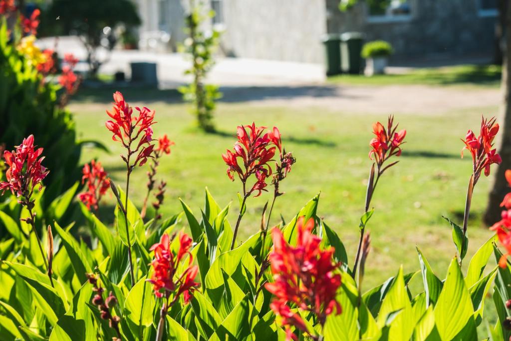 Santa Rosa Hotel & Beach - Resim 19