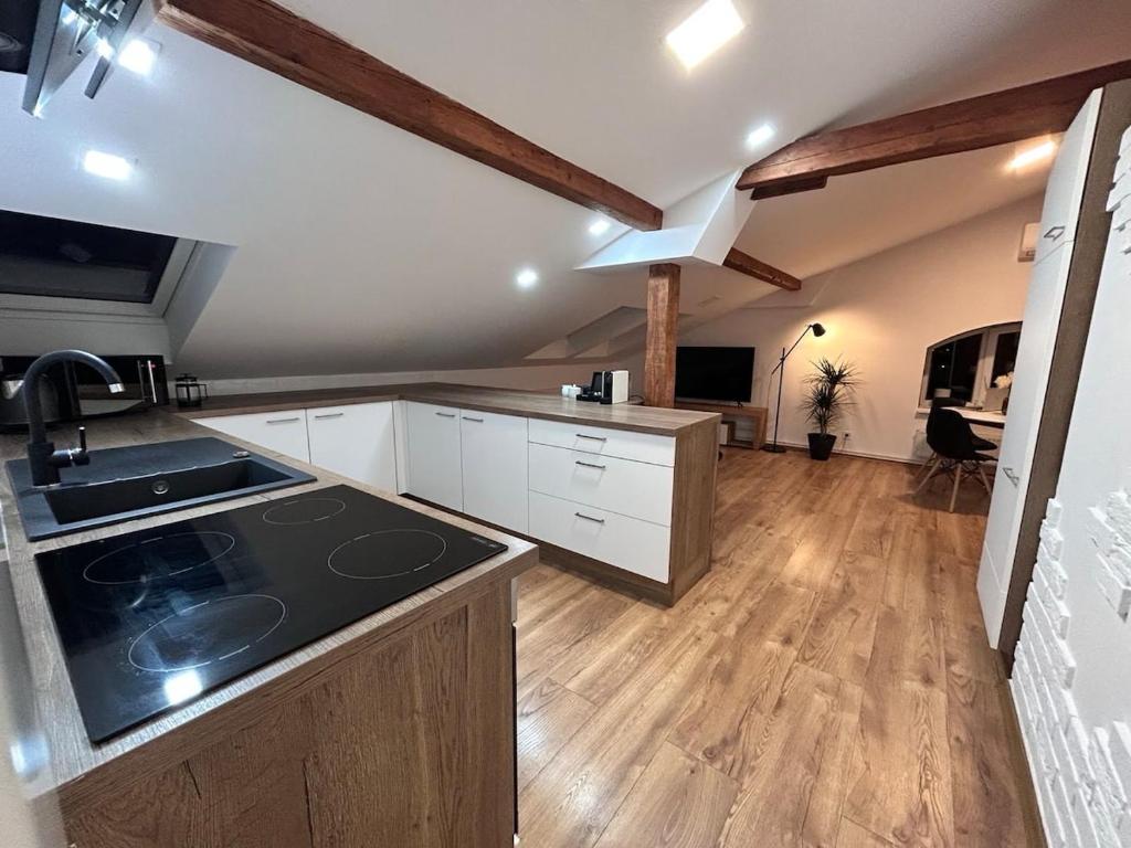 Kuchyň nebo kuchyňský kout v ubytování DORMIDARE Apartments Mladá Boleslav