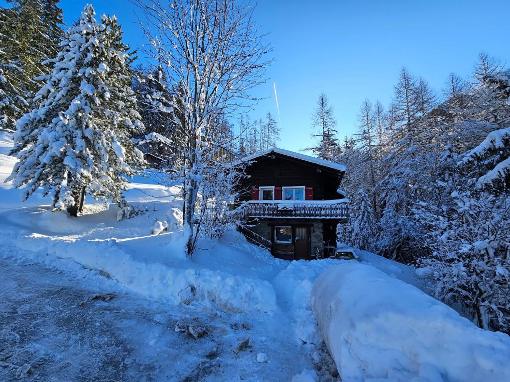 a log cabin in the snow with trees at Petit chalet rustique et bucolique in Bovernier