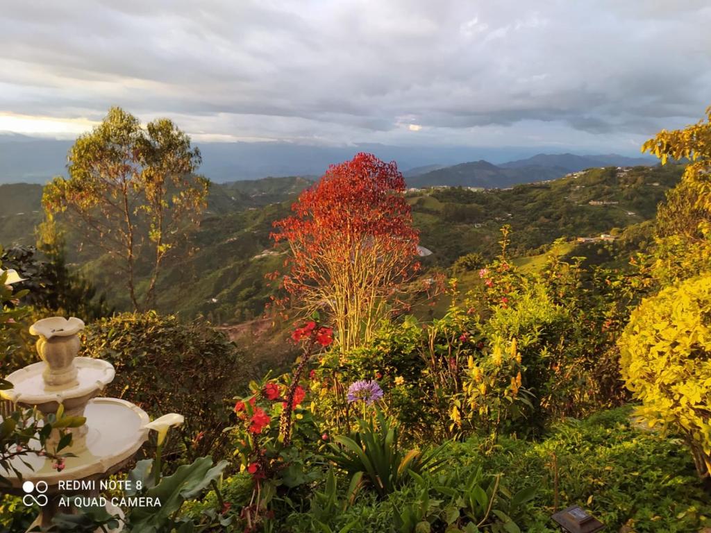 Un paisaje natural cerca of the bed and breakfast