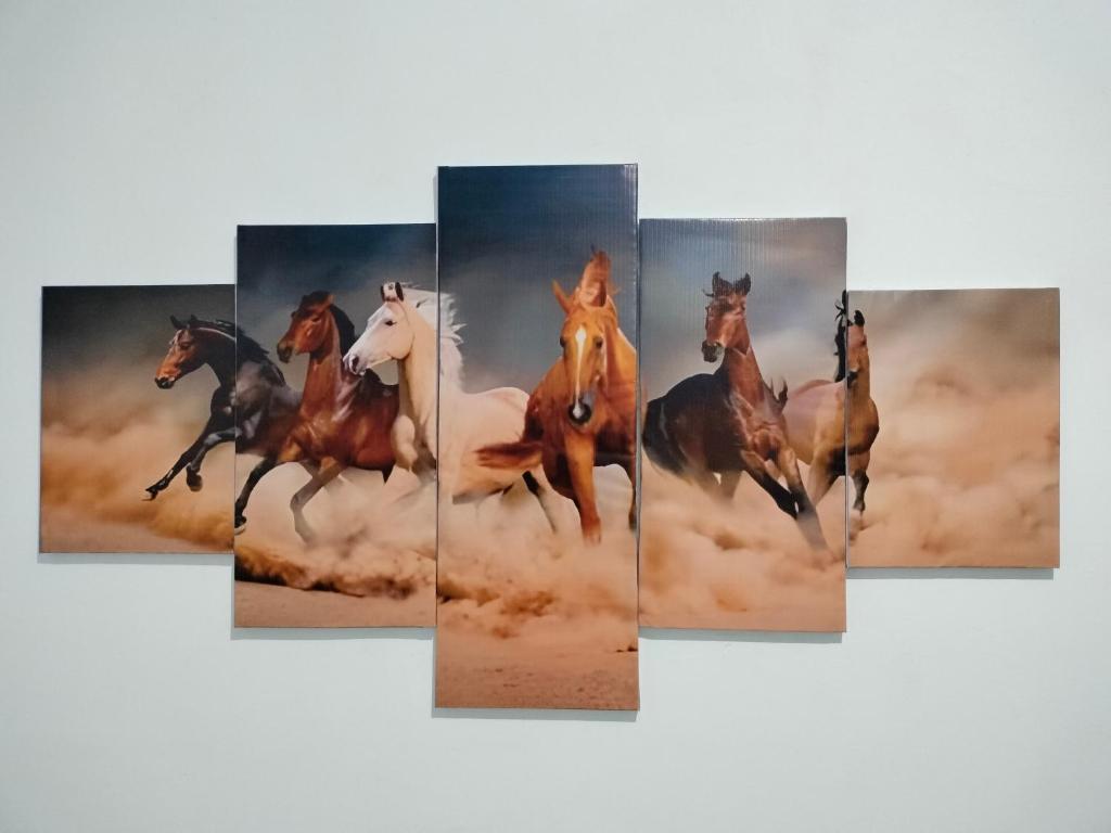 Zvířata v hostelu nebo okolí