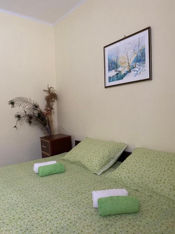Postel nebo postele na pokoji v ubytování Seosko turističko domaćinstvo Stanišić