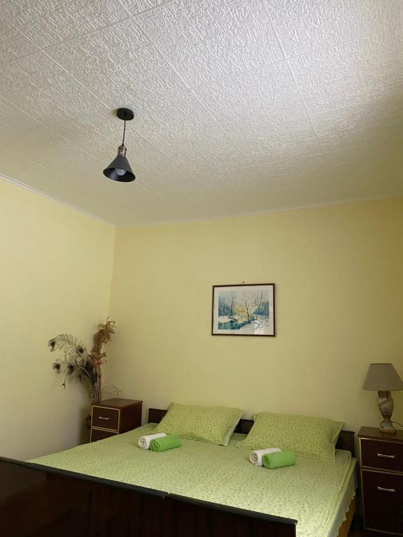 Postel nebo postele na pokoji v ubytování Seosko turističko domaćinstvo Stanišić