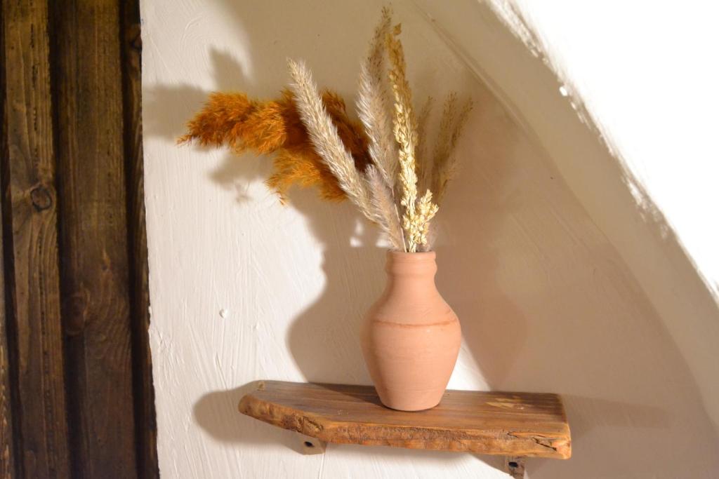 Nebro Nubian Guest House - Adults Only - 3