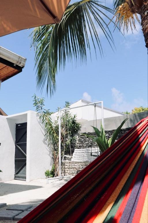 Fotografie z fotogalerie ubytování Avi Cabana v destinaci Himmafushi