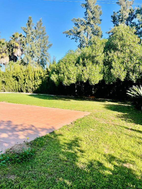 Zahrada ubytování Villa Dorotea