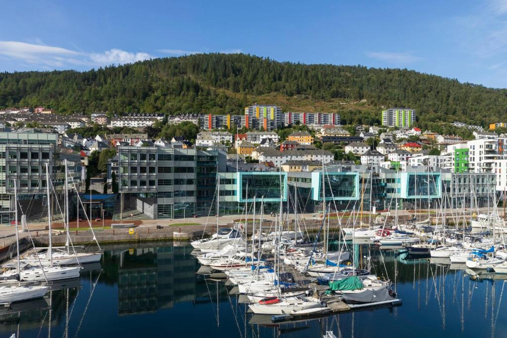 Moxy Bergen - Resim 24