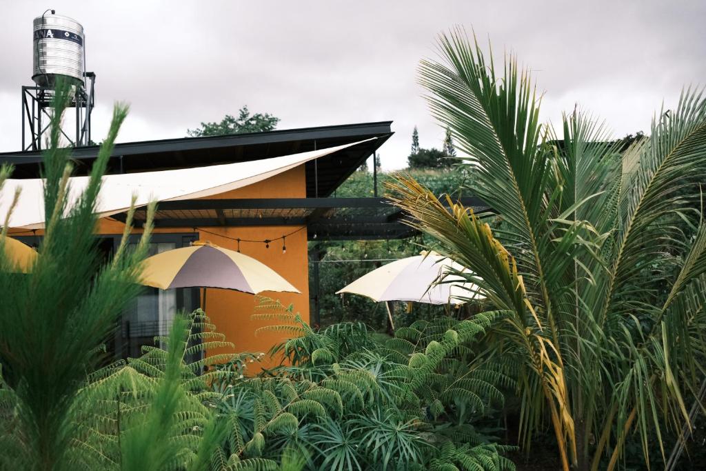 a house with two umbrellas in a garden at MAI HOTAY Lakeside Highland Retreat Homestay in Ðức Lập