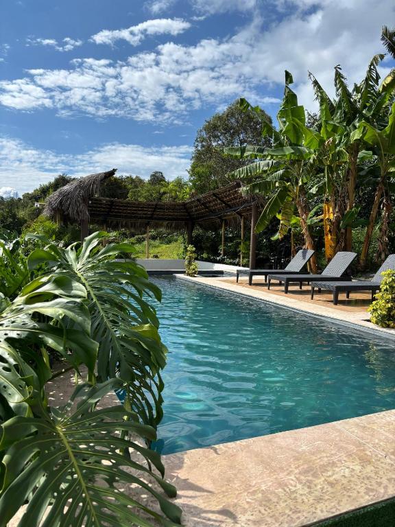 a swimming pool with two lounge chairs and trees at Solarte Hostel in Vergara