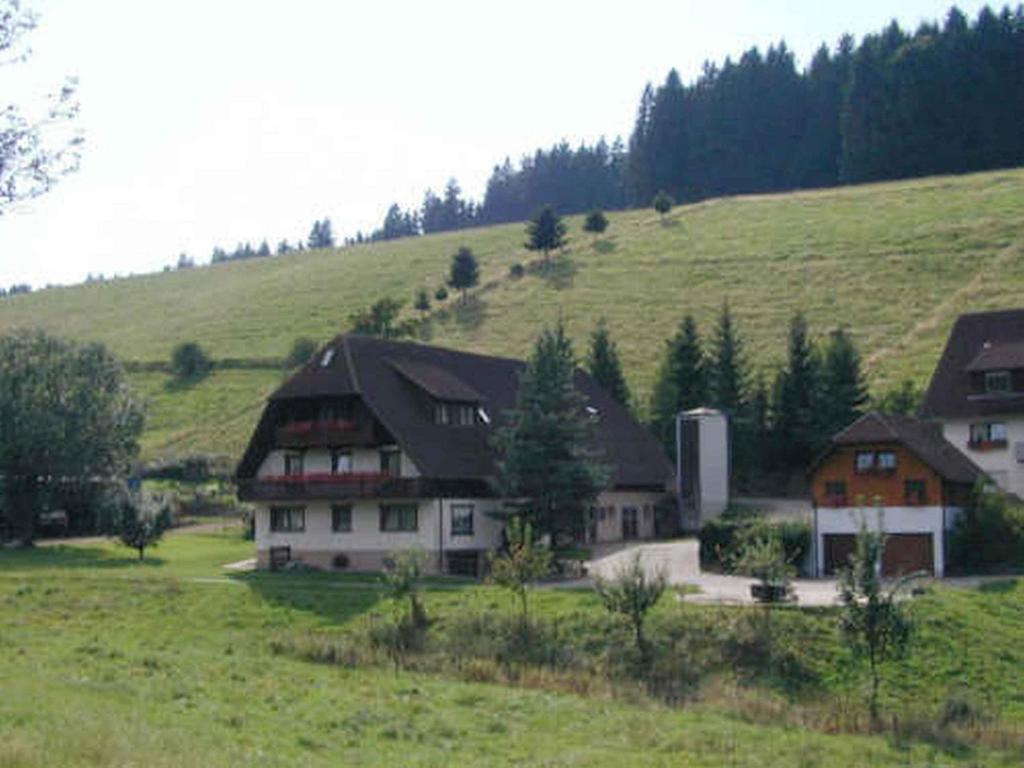 ein großes Haus auf einem Hügel auf einem Feld in der Unterkunft Ferienwohnung Armbruster in Sankt Georgen im Schwarzwald