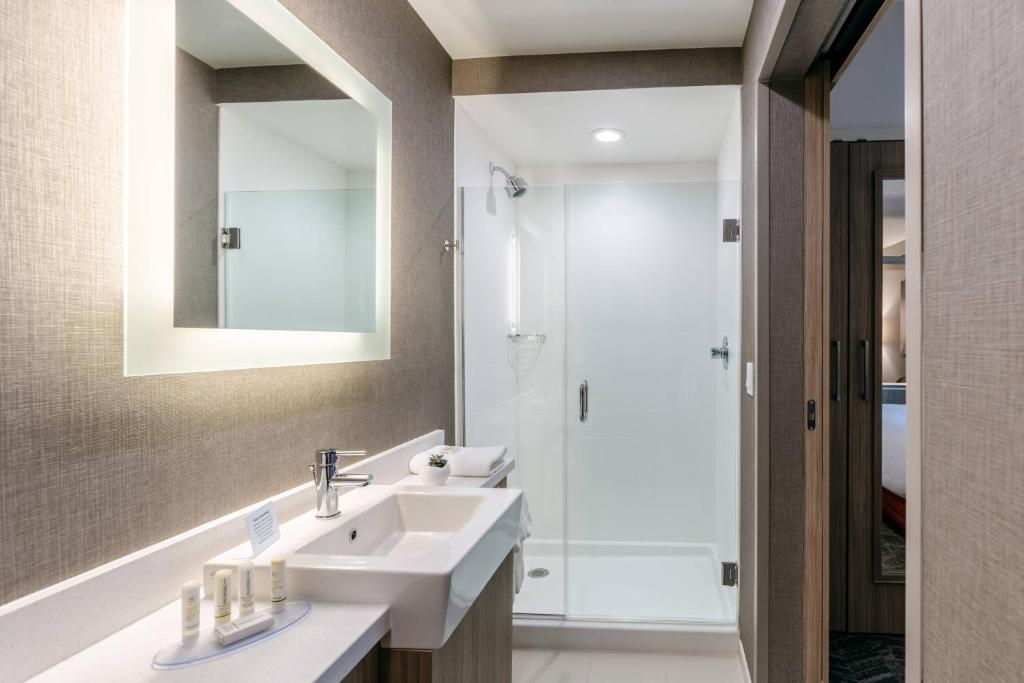 SpringHill Suites by Marriott Columbia photo