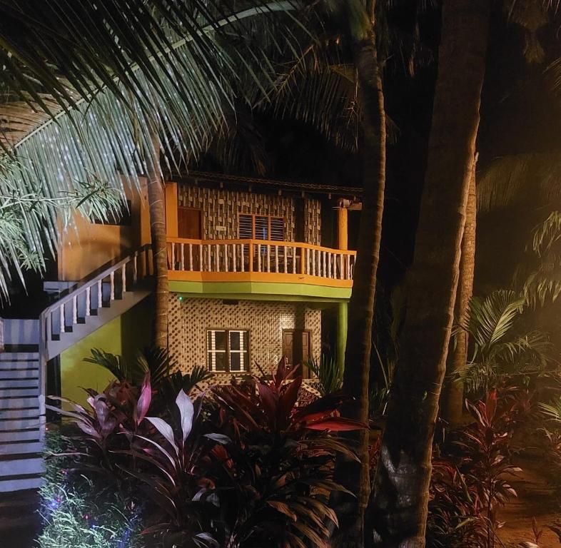 Zahrada ubytování Areca Nest