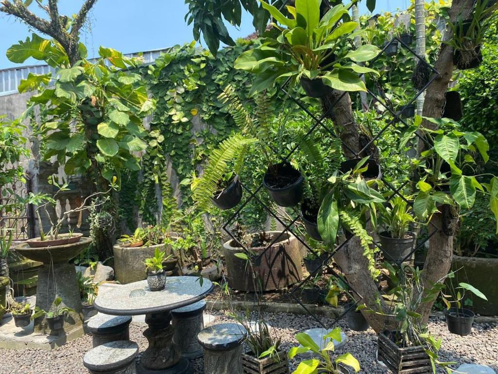 Zahrada ubytování Coliving Bali SWEET HOME Kost Lengkap di Tabanan Kota