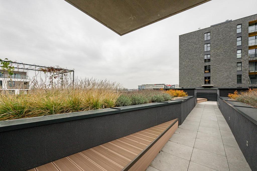 Legnicka Residence - 5