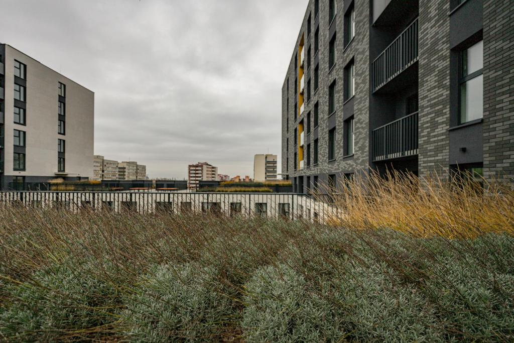 Legnicka Residence - 7