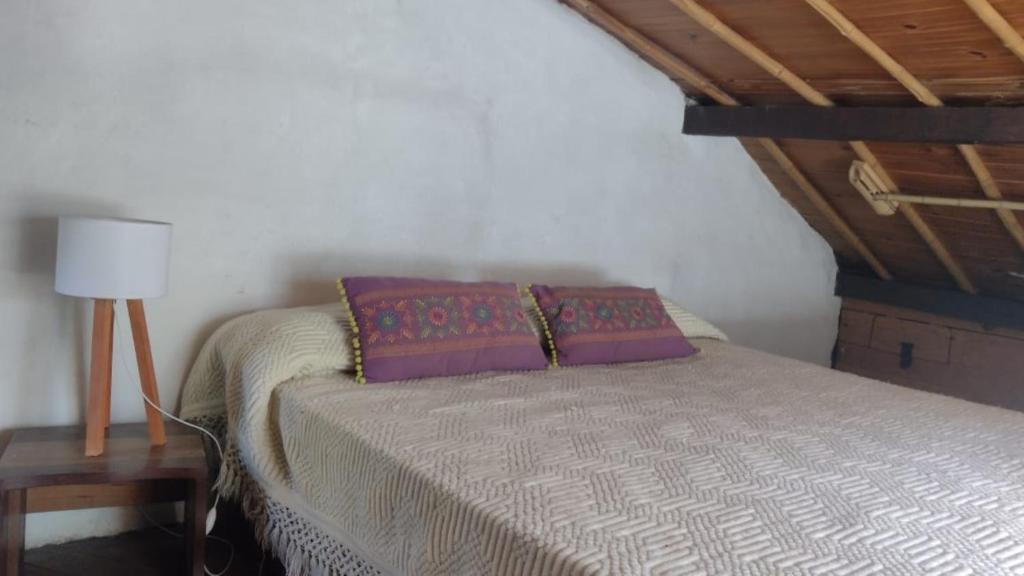 a bedroom with a bed with purple pillows on it at Casitas del arroyo Actividades Arte Cultura y descanso en Villa General Belgrano in Villa General Belgrano