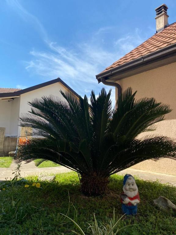 Zahrada ubytování Apartmani Markovic-jednosoban
