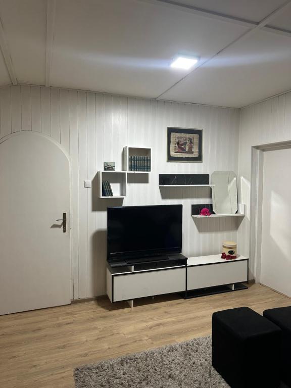 Et tv og/eller underholdning på Apartman Riven