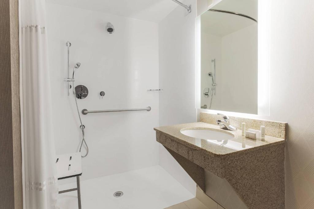 Koupelna v ubytování SpringHill Suites by Marriott Austin Parmer/Tech Ridge