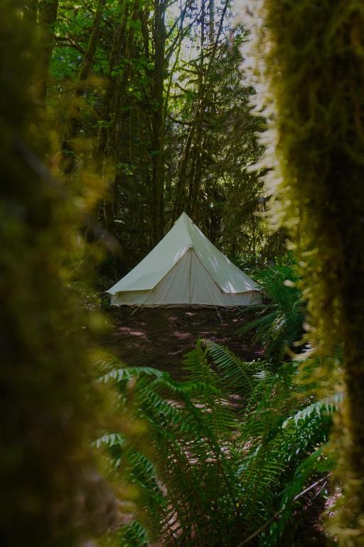 Fotografie z fotogalerie ubytování Starlight Olympic Glamping v destinaci Port Angeles