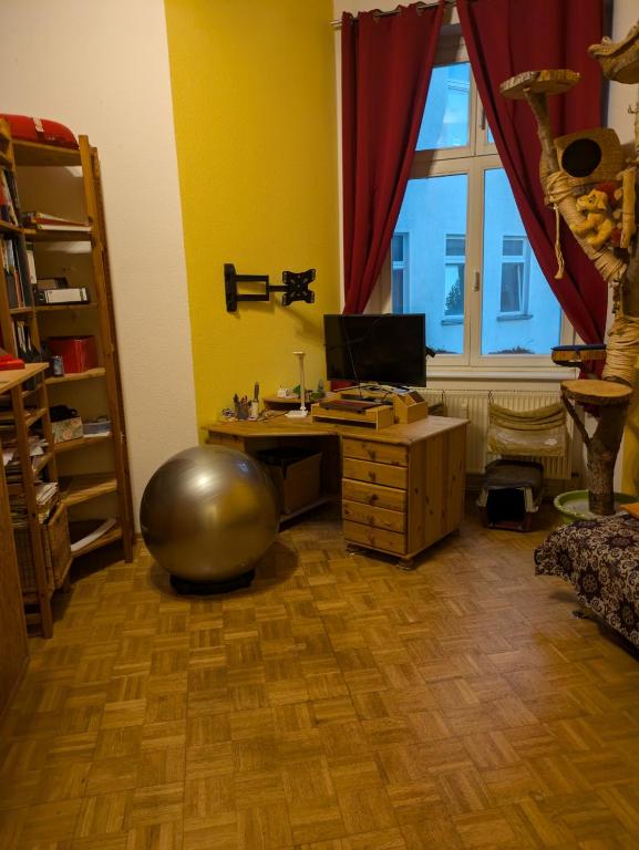 Unterkunft am Park - 1